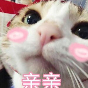 贱狗奴跪下舔脚扇巴掌
